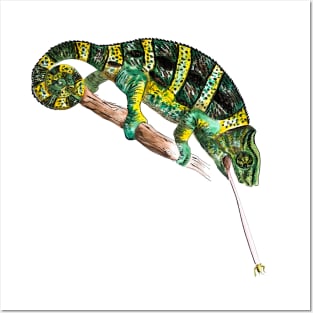 Chameleon Posters and Art